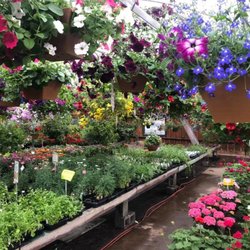 Bell's Nursery & Gifts