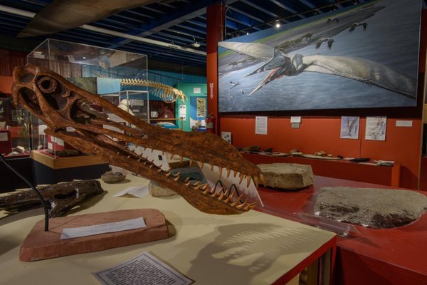 Alaska Museum of Science and Nature by null