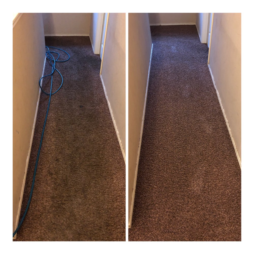 AMG CARPET CLEANING SERVICES 23 Photos Houston, Texas Carpet