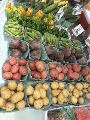Beaches Green Market by null