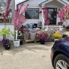 Riverside Greenhouses gift card
