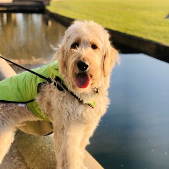 Bellevue Downtown Park - Oh herro!! - Parks Near Me - Bellevue, Washington Bellevue Downtown Park - Oh herro!! - Parks Near Me - Bellevue, Washington