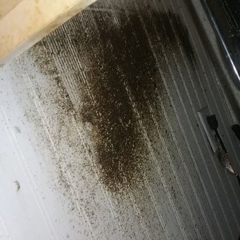 Premier Pest Management - Roach droppings behind a refrigerator from a roach job we did - Pest Control Near Me - Salisbury, Maryland Premier Pest Management - Roach droppings behind a refrigerator from a roach job we did - Pest Control Near Me - Salisbury, Maryland
