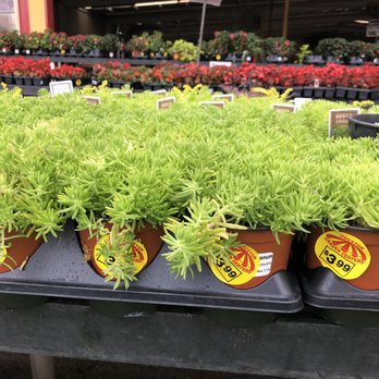 Houston Garden Centers - Nurseries & Gardening Near Me - Conroe, Texas Houston Garden Centers - Nurseries & Gardening Near Me - Conroe, Texas