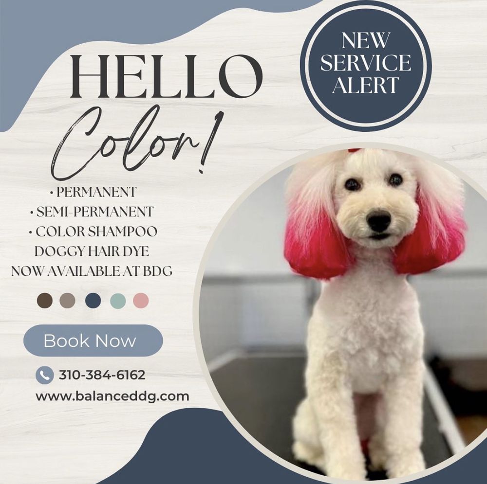 BALANCED DOG GROOMING Updated October 2024 37 Photos & 18 Reviews