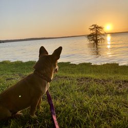 Sandy Creek Campground - Sunset views