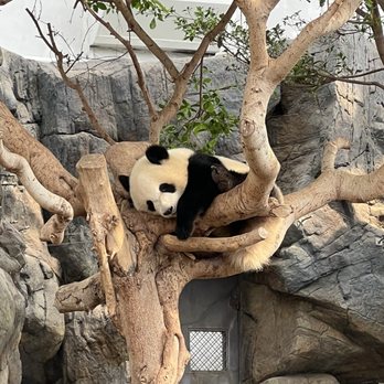 香港海洋公園 - Aquariums Near Me - Hong Kong, HK