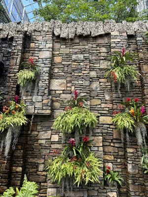 Daniel Stowe Conservancy by null