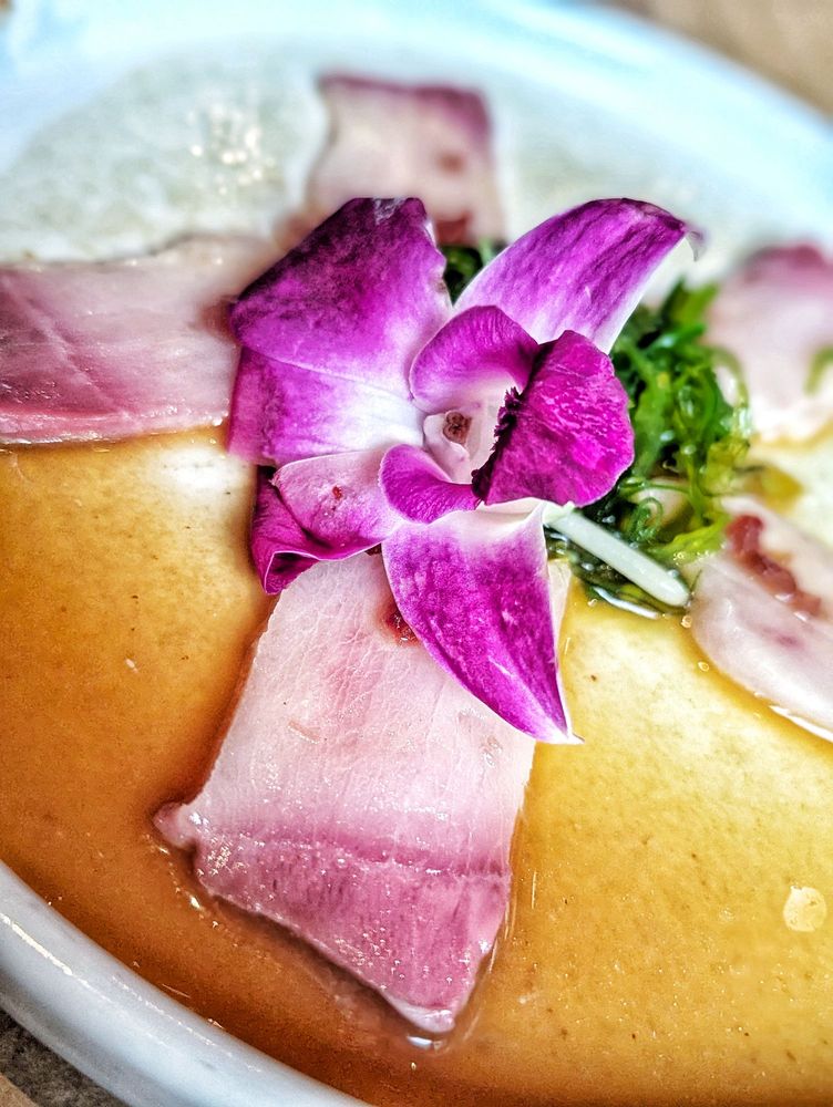 Social spots from The Argonaut