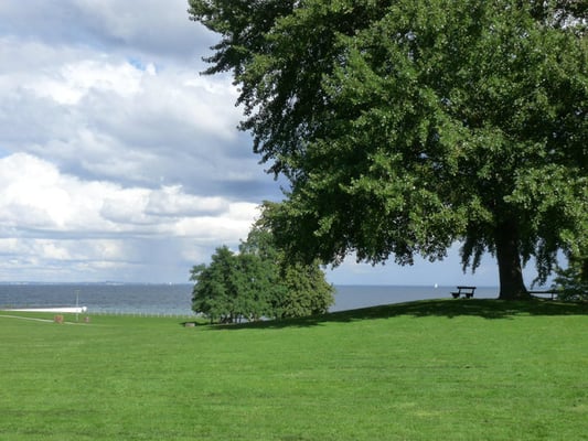Bellevue Beach by null