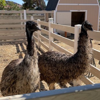 GG's Fun Ranch - Venues & Event Spaces Near Me - San Fernando Valley, California GG's Fun Ranch - Venues & Event Spaces Near Me - San Fernando Valley, California