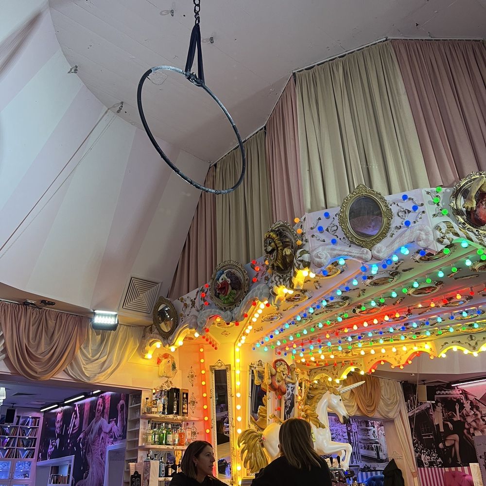 Wilde Matilde - Photo of the bar area and you can see the ring they must use for the dancers when they have a show - Dinner Theater Near Me - Berlin, BE