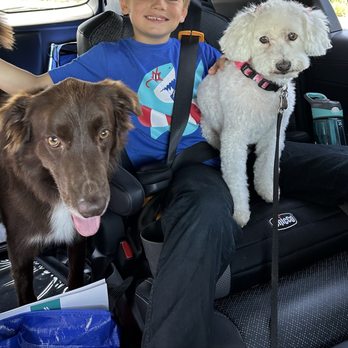 Pawtastic Pet Salon - Pet Groomers Near Me - Rancho Cordova , California Pawtastic Pet Salon - Pet Groomers Near Me - Rancho Cordova , California