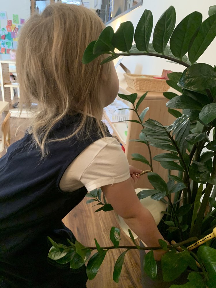 School In The Hills - childcare center in Austin, TX