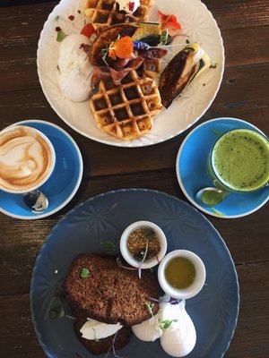 Dear Jervois by null