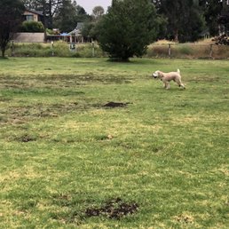This guy was about to start a mud bath... This guy was about to start a mud bath...