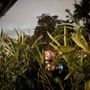 Photo of Jungle Cruise