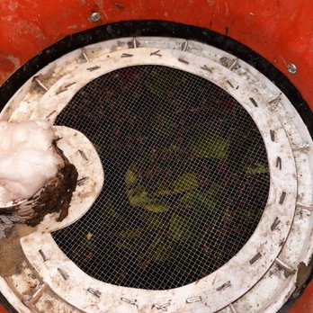 Bee Catchers - Humane bee capture device with a regulated environment - Pest Control Near Me - Van Nuys, California Bee Catchers - Humane bee capture device with a regulated environment - Pest Control Near Me - Van Nuys, California