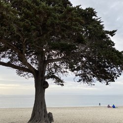 Monterey Bay Park