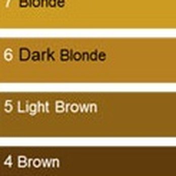 U.b.U Color Salon - Color Chart I based my review on, Check it out! :) - Hair Salons Near Me - Tampa, Florida U.b.U Color Salon - Color Chart I based my review on, Check it out! :) - Hair Salons Near Me - Tampa, Florida
