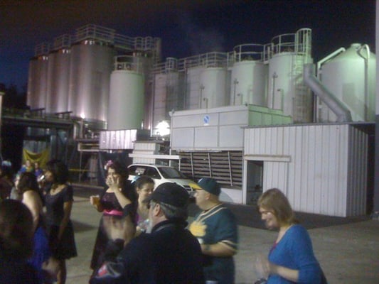 Trumer Taproom by null