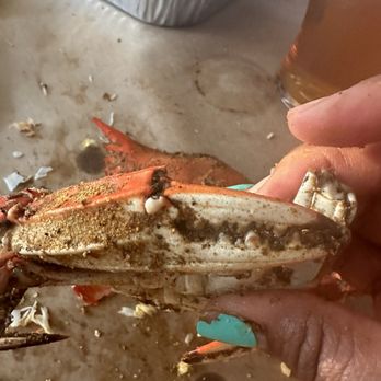 Captain Dan's Crabhouse - $150 per dozen - Seafood Near Me - Eldersburg, Maryland Captain Dan's Crabhouse - $150 per dozen - Seafood Near Me - Eldersburg, Maryland