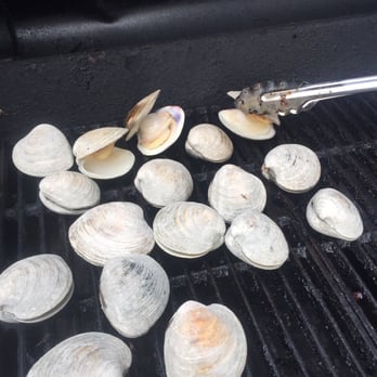 Captree Clam - Straight to the grill! 6-4-2016 - Seafood Markets Near Me - West Babylon, New York Captree Clam - Straight to the grill! 6-4-2016 - Seafood Markets Near Me - West Babylon, New York
