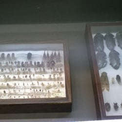 Museo de Ciencias Naturales - Esas colecciones con sabor añejo!!