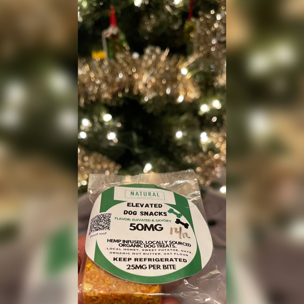 Natural Elevation - beekeeping in Baltimore, MD