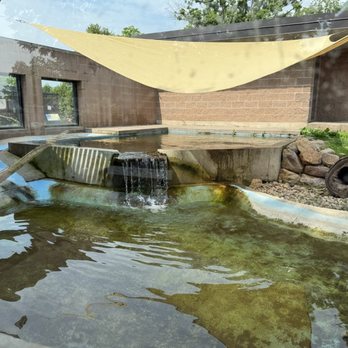 Ochsner Park & Zoo - Zoos Near Me - Baraboo, Wisconsin Ochsner Park & Zoo - Zoos Near Me - Baraboo, Wisconsin