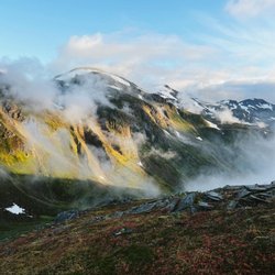 Foggy Mountain Shop