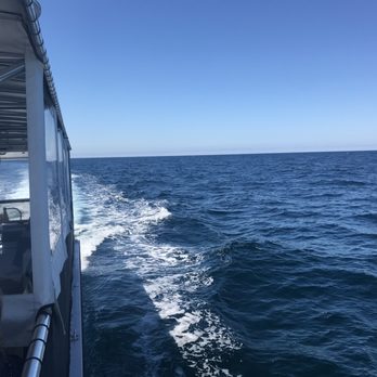 Oceanside Adventures - Boat Charters Near Me - Oceanside, California Oceanside Adventures - Boat Charters Near Me - Oceanside, California