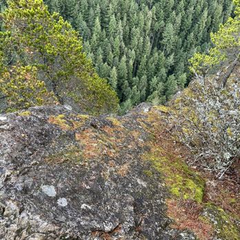 Little Si - A long way down - Hiking Near Me