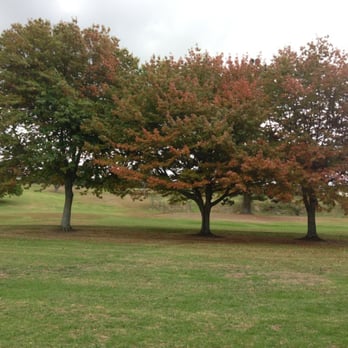 Sherwood Reserve - Parks Near Me - Auckland, AUK