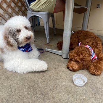 The Breakfast Bar - Outside dog friendly patio - Breakfast & Brunch Near Me - Long Beach, California The Breakfast Bar - Outside dog friendly patio - Breakfast & Brunch Near Me - Long Beach, California
