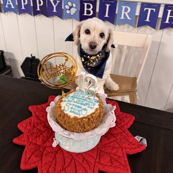 The Dog Bakery - Pet Stores Near Me - Long Beach, California