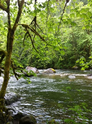 Twin Falls Trailhead by null