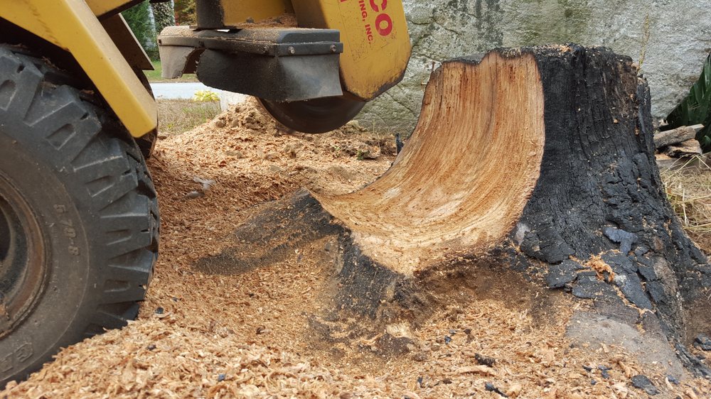 Earth Dynamics of New England - veterans service organization in Fremont, NH