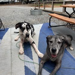 Iron City Campground