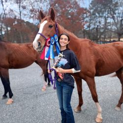 Ravenwood Equestrian