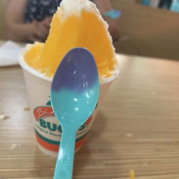 Bahama Buck's - Odessa, FL - Temperatures spoon - Desserts Near Me - Odessa, Florida