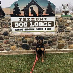 Fremont Dog Lodge