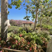 Photo of Getty Center - Los Angeles, CA, United States