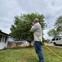 Apex Pest Control - Specialty tree sprays