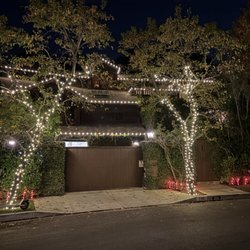 The Holiday Dudes - Warm White C9 Bulbs On The House
Warm White Mini Lights On The Trees
Red/White Candy Canes