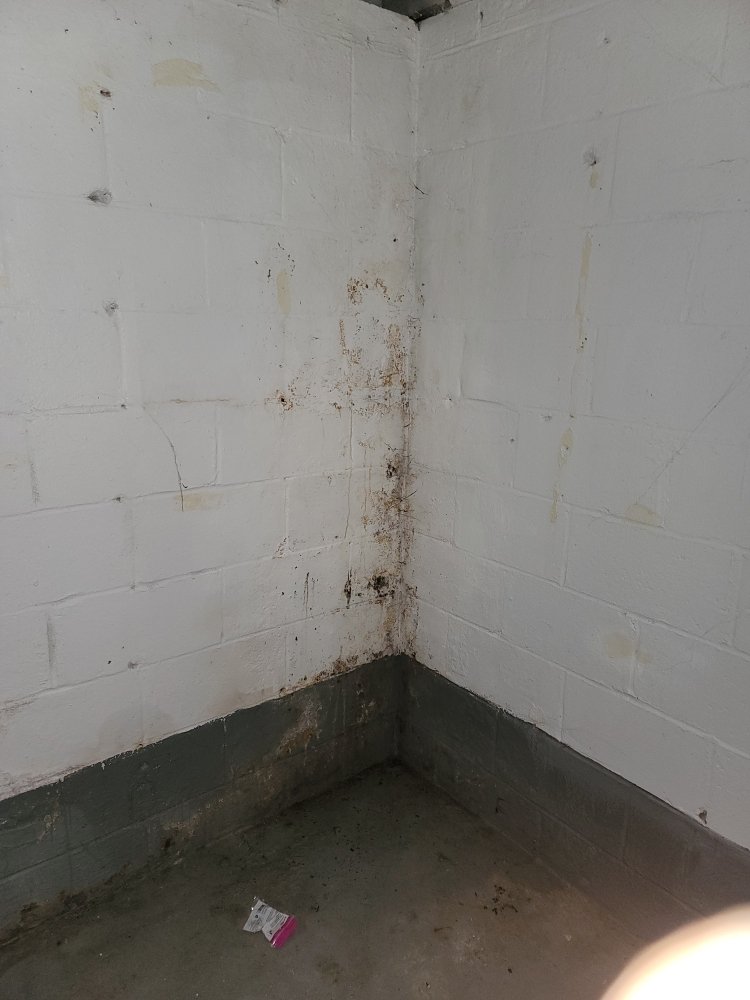 Slide of Detroit Rescue My Home