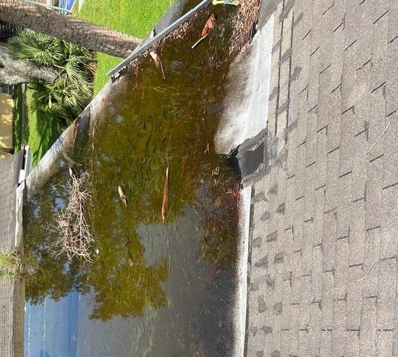 Slide of Fundora’s Brother’s