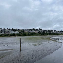 Low tide! Low tide!