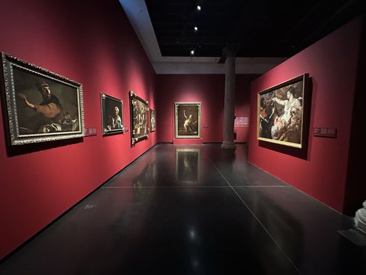 Gallerie dell'Accademia by null