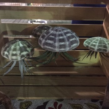 LODA Artwalk - Jellyfish airplants - Art Museums Near Me - Mobile, Alabama